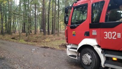 Niebezpieczne znalezisko w katowickim lesie. Na miejsce wezwano saperów
