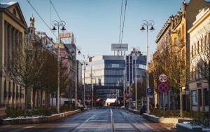 Warszawska oprószona śniegiem (3)